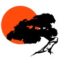 Bonsai-silhouette-sonne